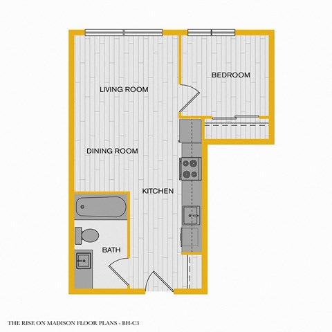 The Rise on Madison Apartments 2D Floorplan - 1 bed 1 bath G 50